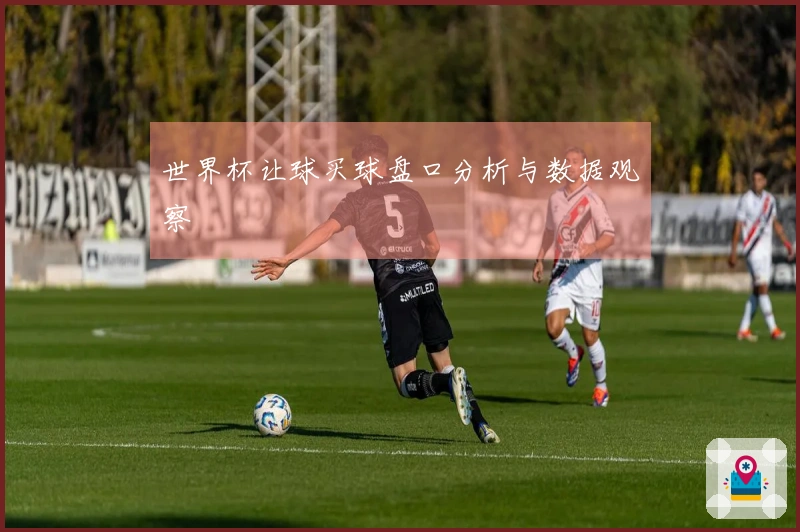 世界杯让球买球盘口分析与数据观察
