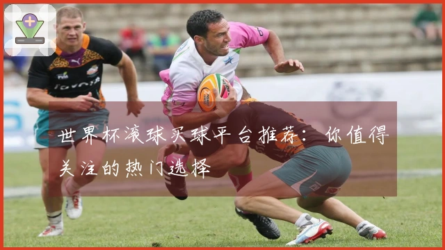 世界杯滚球买球平台推荐：你值得关注的热门选择