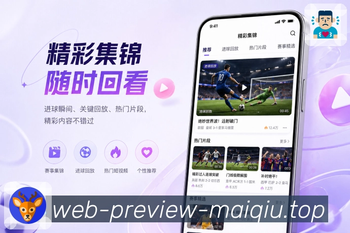 买球站 APP访问示意